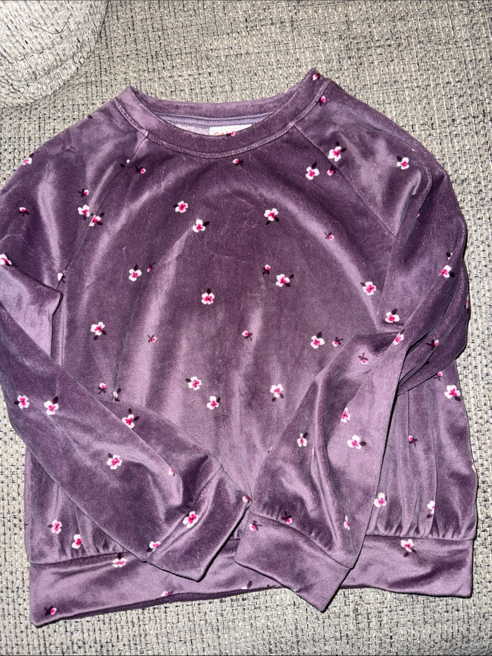 Cat & Jack Purple Floral Velvet Top